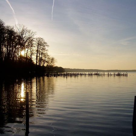 Ferienwohnungen Am Werbellinsee Schorfheide Extérieur photo