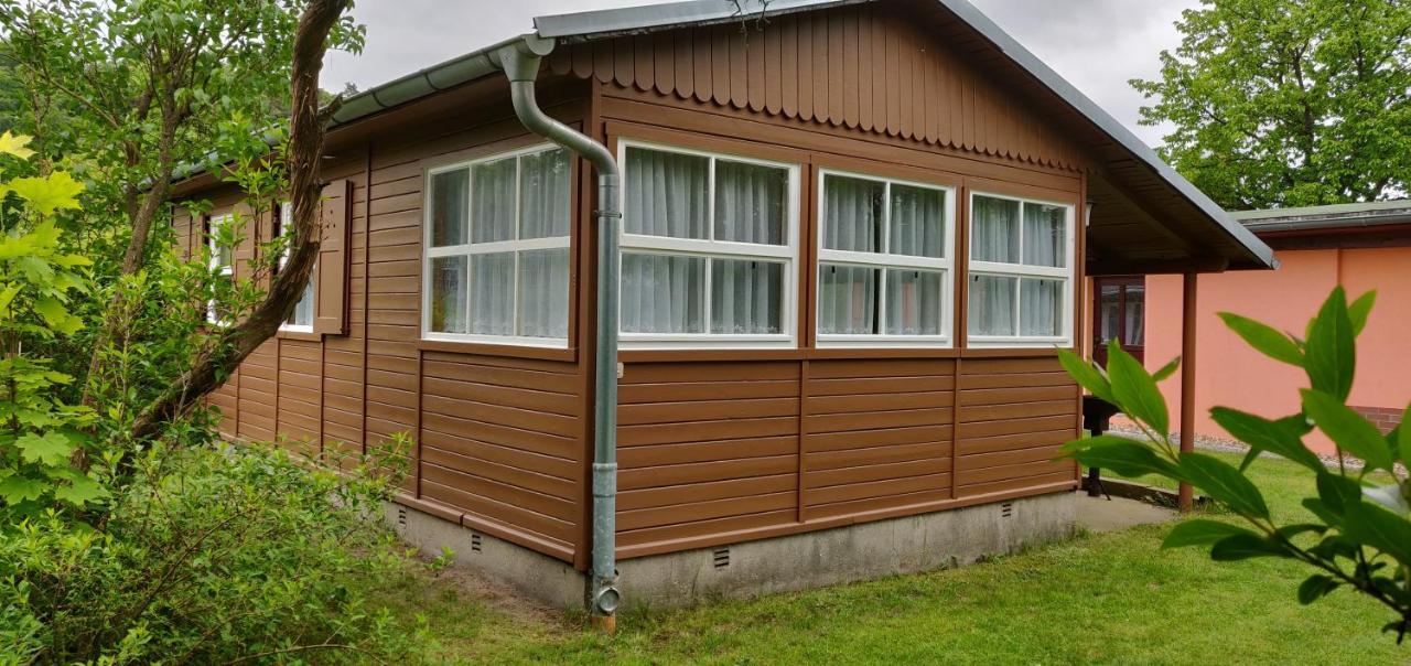Ferienwohnungen Am Werbellinsee Schorfheide Extérieur photo